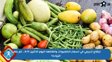 ارتفاع تدريجي في أسعار الخضروات والفاكهة اليوم الإثنين 11-8.. كم بلغت الزيادة؟